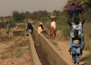 Documentaire over Baaba Maal